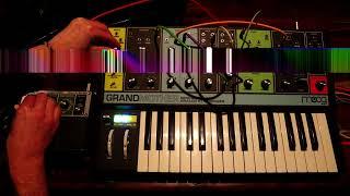 Evolution Arp from Moog Grandmother Dark Patch Book + Boss Space Echo RE-20