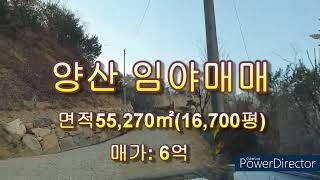 *양산 임야 매매/상북면 토지 농장지/ 토지 임야전문 파실분 사실분 상담환영