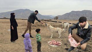 Mehdi, who taught her children a great life lesson: love for animals