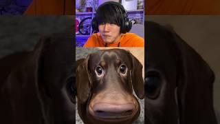 Try not to Laugh Game!