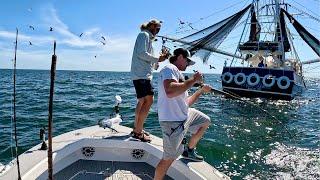 Fishing Behind SHARK Infested Shrimp Boats For Our Winning Fish!