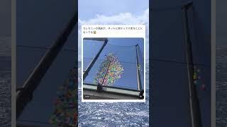 大量の風船が引っかかって大変なことになったwwwww#おもしろ #面白い#twitter #tiktok #2ch #5ch