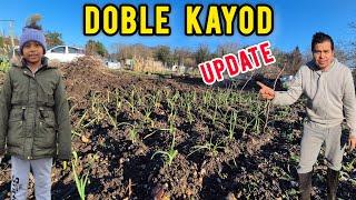 Double Kayod sa UK  Garlic Update