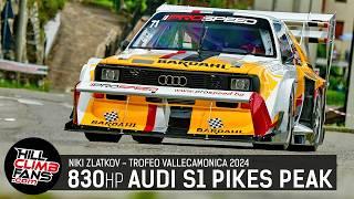 Audi S1 Pikes Peak quattro PROSPEED - Niki Zlatkov || Hill Climb Vallecamonica 2024