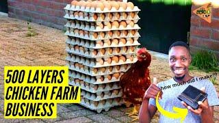 How to START a 500 Layers Chicken farm from Scratch ( 500 layers chicken business plan)