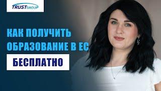 Устройство системы образования ЕС: как бесплатно учиться в Европе