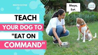 How to Teach your dog to 'Eat on command' or 'Impulse control' ll Step by Step Guide ll