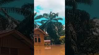 Banjir 2023 Pt Khalid , Pt Bandan, Pt Darim