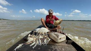 Tưởng không dính không ngờ dính quá nhiều Cá Út kho cà thưởng thức cùng anh em