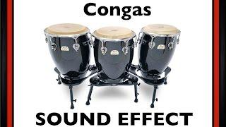 Congas Sample | Sound Effect | Loops | HD