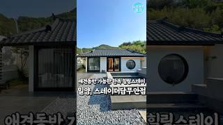 댕댕이랑 가기좋은 밀양 한옥독채숙소 #밀양숙소 #경상도숙소 #밀양독채숙소 #스테이더담무안점