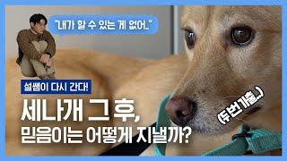 세나개 솔루션 실패했던 믿음이. 어떻게 지내고 있을까요? | 설쌤이 다시 간다! ‘믿음이’ 편 | 설채현 행동학 수의사