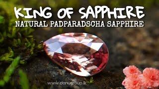 Natural Pinkish orange Padparadscha Sapphire from Embilipitiya, Sri Lanka - Danu Group Gemstones