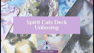 Spirit Cats Deck Unboxing and First Impressions