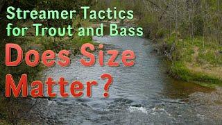 Streamer Tactics for Trout and Bass: Does Size Matter?