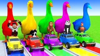 5 Giant Duck Cartoon,Cow,Elephant,Tiger,Lion,Dinosaur,Paint Wild Animals Crossing Fountain Animation