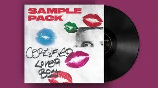 FREE VINTAGE SAMPLE PACK 2021 / Samples From "Certified Lover Boy" album by Drake