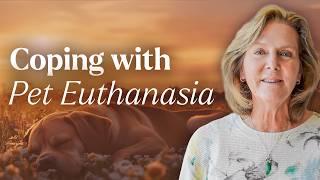 Dealing with Pet Euthanasia Guilt: Your Path to Forgiveness | Tami Hendrix