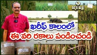 ఈ వరి రకాలతో ఖరీఫ్ లో అధిక దిగుబడి || High Yielding Best Rice Varieties for Kharif || Karshaka Mitra