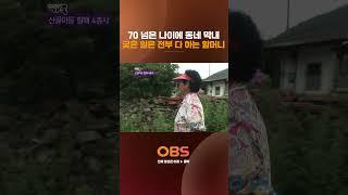 70 넘은 나이에 동네 막내 궃은 일은 전부 다 하는 할머니 #멜로다큐가족 #다큐 #시골 #할머니 #4총사