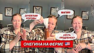 КАК МЫ ЗАВЕЛИ КОРОВ В США #жизньвсша #ферма #лайфстайлблог #юмор