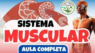 SISTEMA MUSCULAR - AULA COMPLETA - ENFERMAGEM DIGITAL