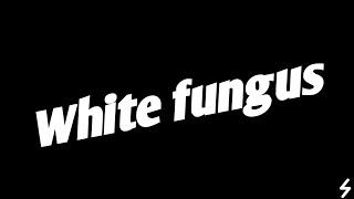 White fungus|white fungus symptoms|white fungus treatment|Book Fluence|#shorts