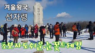 최고의 눈꽃산행지 선자령.완전 초보자도 쉽게 오를수 있는코스.