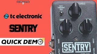 TC electronic Sentry Noise Gate "Quick Demo"