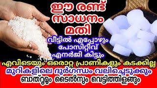 ഇങ്ങനെ ചില ടിപ്സുകൾ ഇതാദ്യം | രണ്ടേ രണ്ട് സാധനങ്ങൾ കൊണ്ട് ഒരു പിടി സൂത്രങ്ങൾ| Salt and Camphor Tips