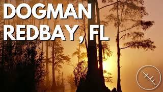 iNTO THE FRAY 466: Dogman-Redbay, FL