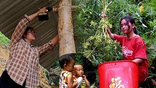 The life of three orphaned sisters. Picking papaya flowers to sell. Building a bamboo house.