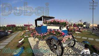 Dubai Miracle Garden | The Most Beautiful and Largest Natural Flower Garden in The World