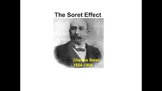 The Soret Effect