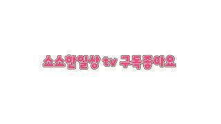 소소한일상tv 라이브 방송