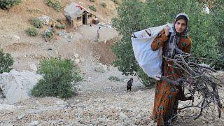 Iranian Nomads: A Hardworking Woman in a Mountain Shelter