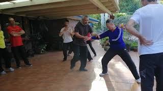 Master Peter Wu Chen Style Taiji Taichi Quan - Ji technique when Lv Cai  吴仕增 陈式太极拳推手发劲演示 （套插步 捋采 挤法）