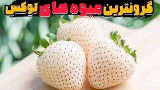 میوه های گران|گرانترین میوه های دنیا که پول یه سال کارمندی ما میشه.