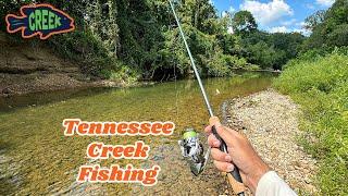 Creek Fishing for Smallmouth Bass...