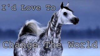 I'd Love To Change The World || Arabian Horse Music Video ||