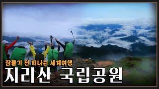 [잠들기 전 떠나는 세계여행] 구름 위를 걷는 기분으로 등반하는 지리산 국립공원 (KBS 방송)