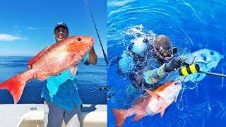  Florida Deep Sea Fishing on the Ameracat 33 Catamaran, near Ponce Inlet/Atlantic Ocean