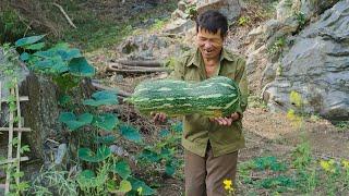 Single Old Man harvests giant pumpkins, creates fish traps, and the convenience of a folding chair