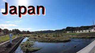 【Tokyo】Hz relaxation with real nature healing sound | birds and Chakras