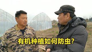 农村搞有机农业3大举措，农场总工说出秘诀，怪不得很多人不成功