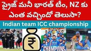 ప్రైజ్ మనీ భారత్ టీంకు ఎంత వచ్చిందో తెలుసా? Prize money ICC championship 2025 Indian cricket team