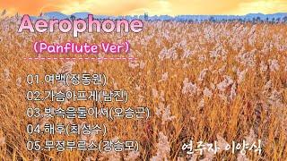 전자악기 Aerophone 연주자 이양식 Panflute Ver 중년가요 5곡