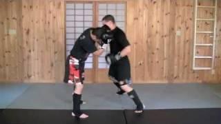 Martial Art Training Online