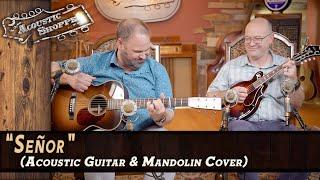"Señor" | Bob Dylan Acoustic Guitar & Mandolin Cover