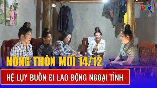 Nông thôn mới 14-12-2024: Hệ lụy buồn đi lao động ngoại tỉnh | Điện Biên TV